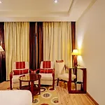 Hotel Ssd Tork Plaza Near Igi Airport Delhi
